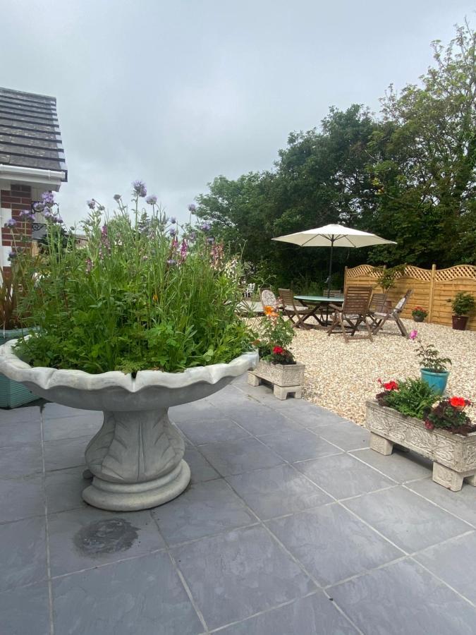 Toppesfield House B&B Bude Exterior foto